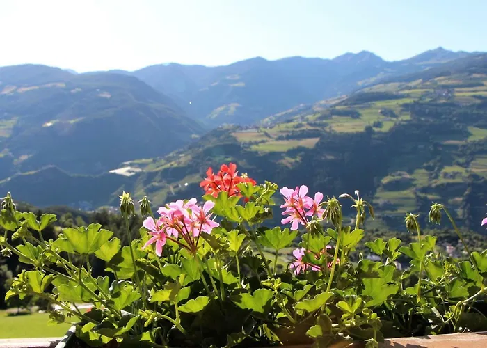 Spisserhof