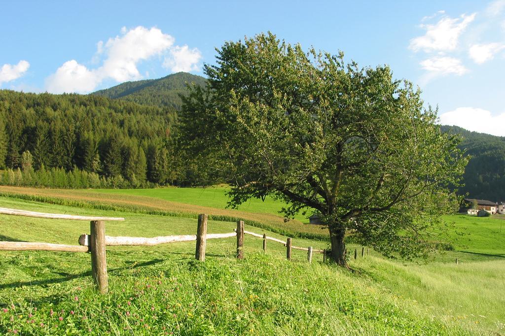 Apartamento Spisserhof *